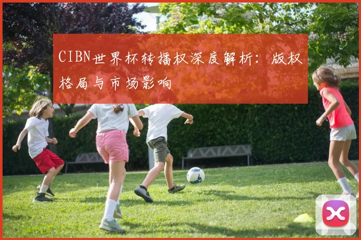 CIBN世界杯转播权深度解析:版权格局与市场影响