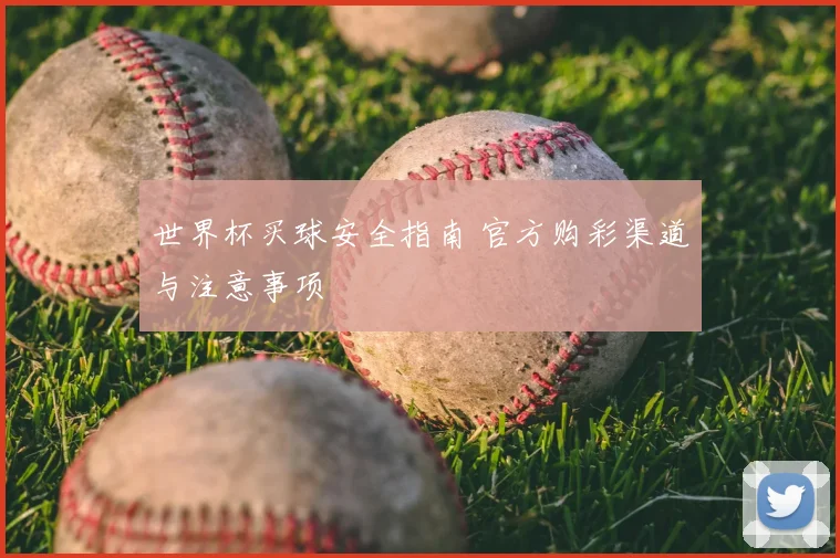 世界杯买球安全指南 官方购彩渠道与注意事项