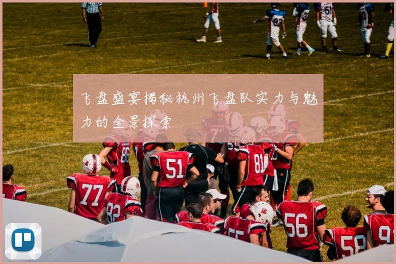 飞盘盛宴揭秘杭州飞盘队实力与魅力的全景探索