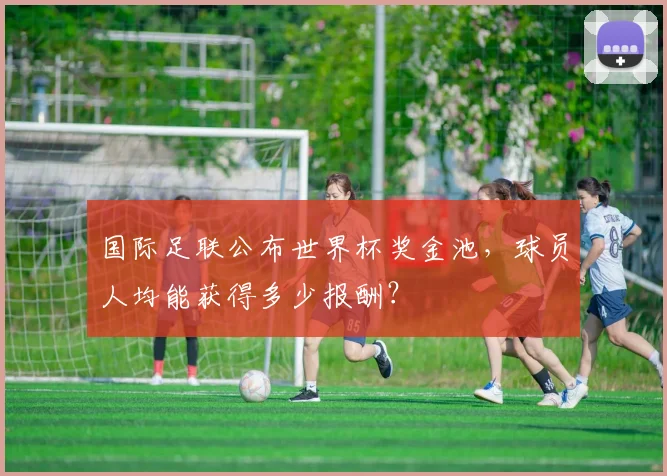 国际足联公布世界杯奖金池,球员人均能获得多少报酬?