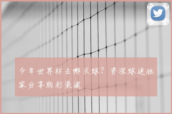 今年世界杯去哪买球？资深球迷独家分享购彩渠道