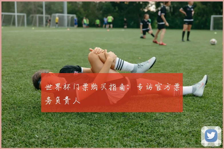 世界杯门票购买指南:专访官方票务负责人
