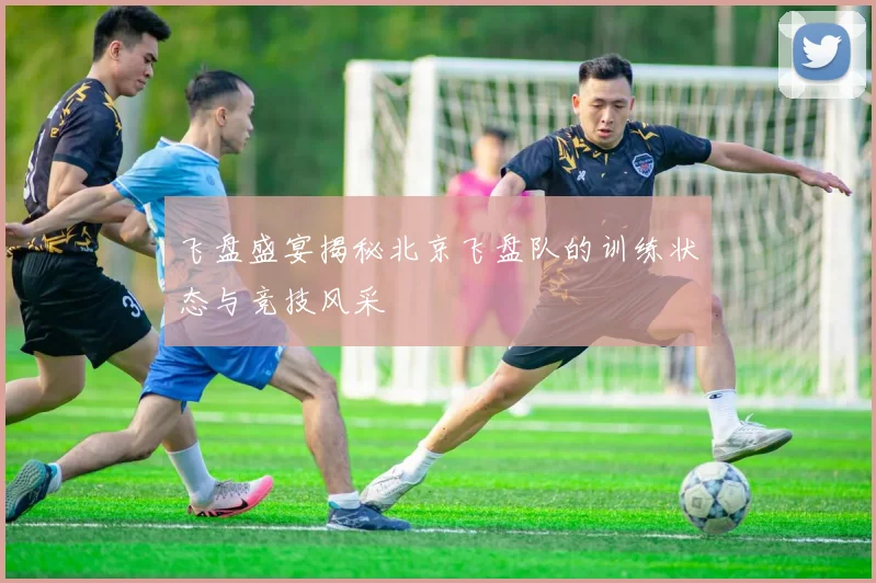 飞盘盛宴揭秘北京飞盘队的训练状态与竞技风采