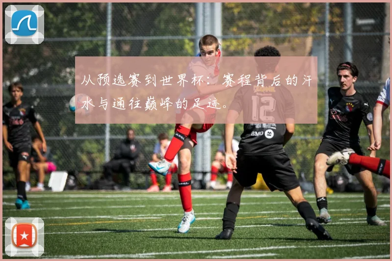 从预选赛到世界杯:赛程背后的汗水与通往巅峰的足迹。
