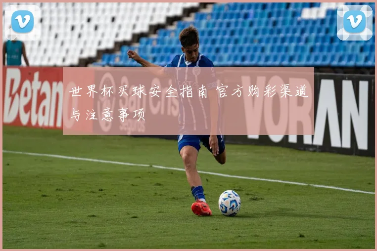世界杯买球安全指南 官方购彩渠道与注意事项