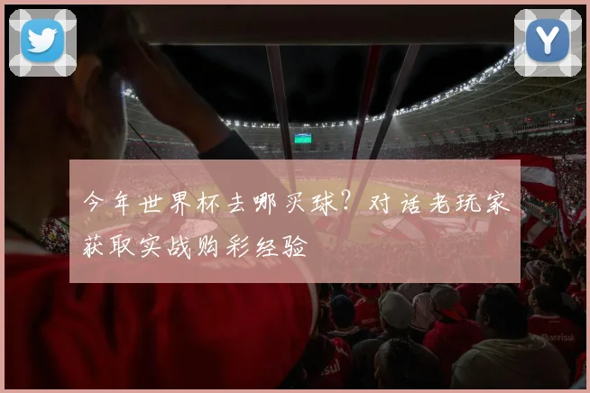 今年世界杯去哪买球?对话老玩家获取实战购彩经验