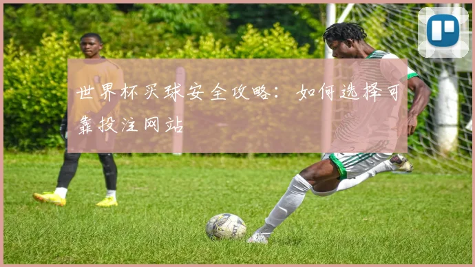 世界杯买球安全攻略：如何选择可靠投注网站