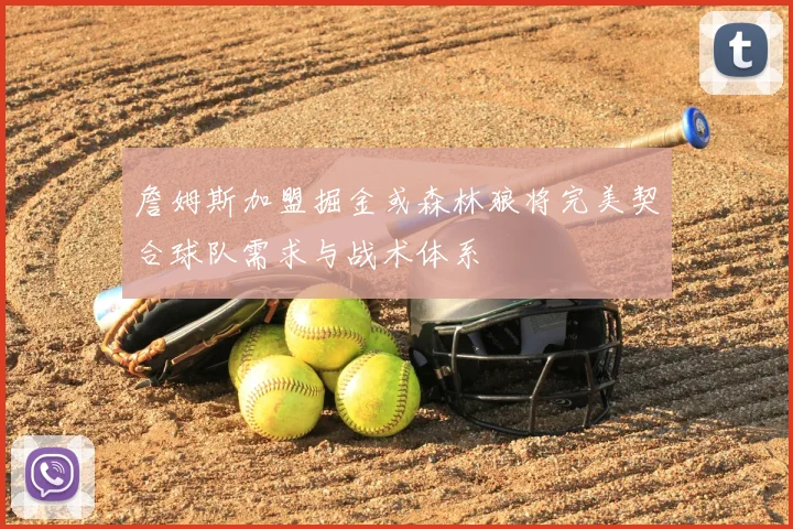 詹姆斯加盟掘金或森林狼将完美契合球队需求与战术体系