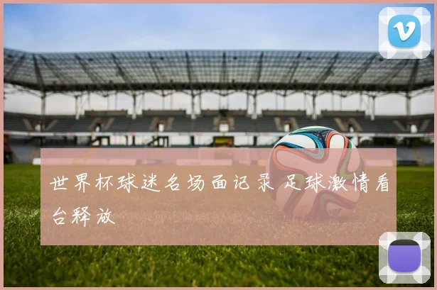 世界杯球迷名场面记录 足球激情看台释放
