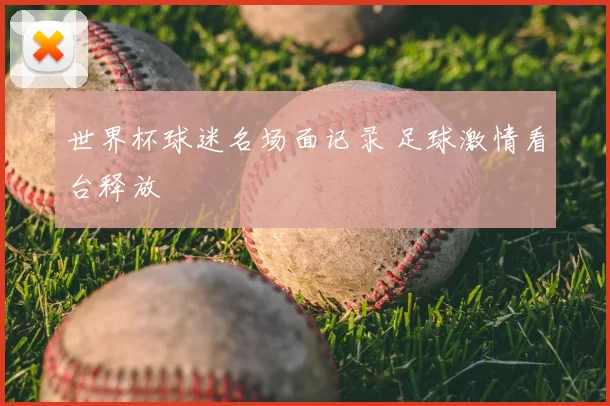 世界杯球迷名场面记录 足球激情看台释放